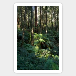 Tree Fern Sticker